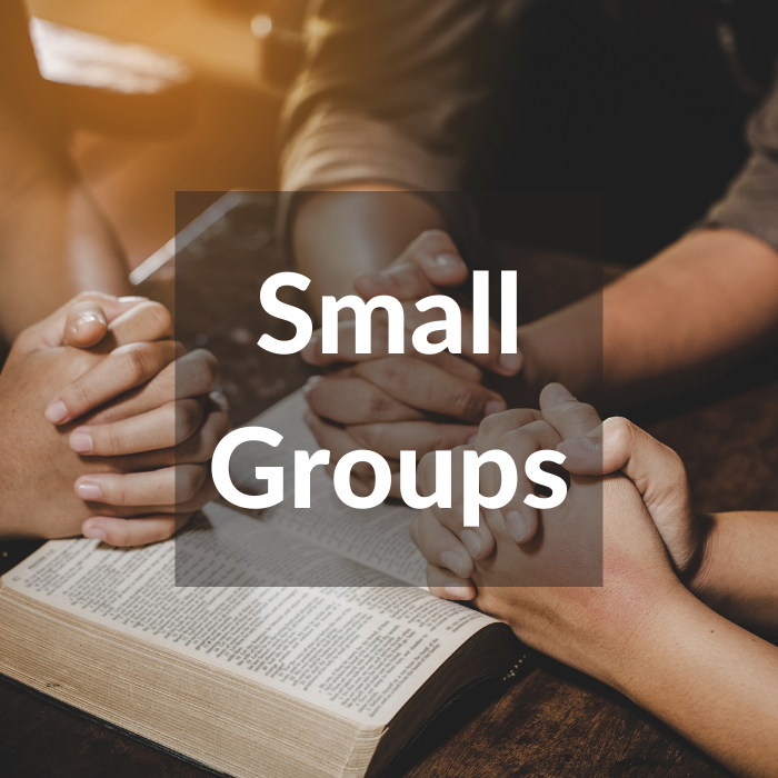 Small_Groups.png